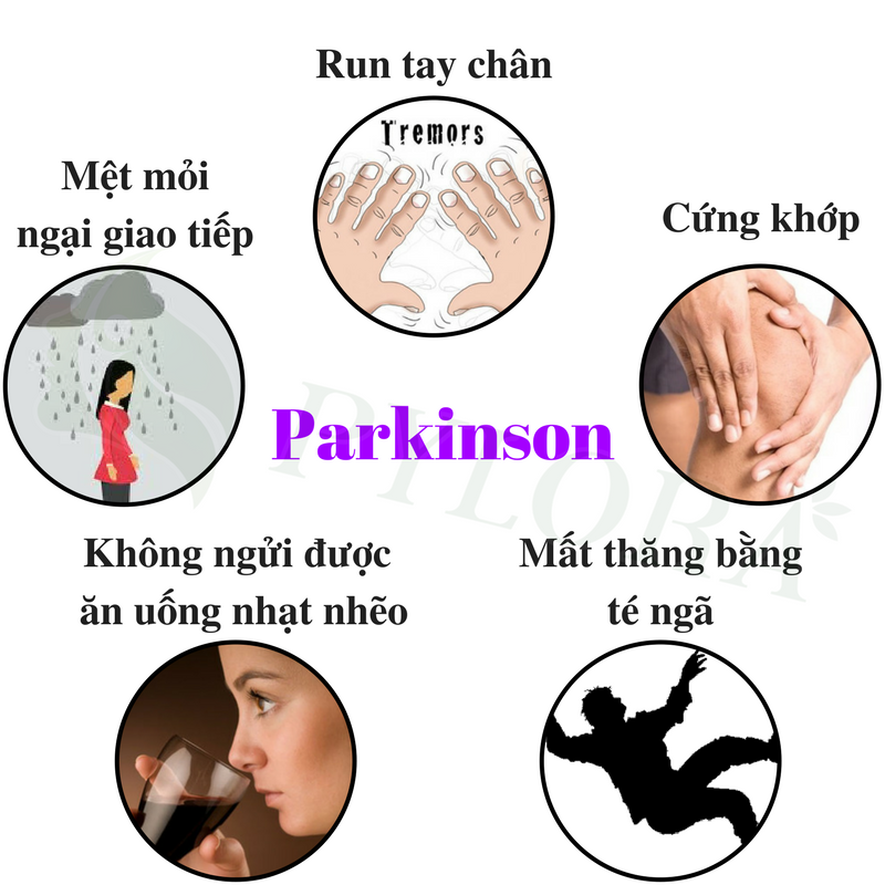 Nguyên Nhân - Triệu Chứng - Chẩn Đoán Và Điều Trị Bệnh Parkinson