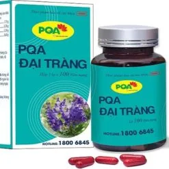 PQA ĐẠI TRÀNG 100 VIÊN